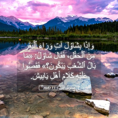 Picture 05 - صَمُوئِيلَ ٱلْأَوَّلُ 11:5 AVD - وَإِذَا بِشَاوُلَ آتٍ - Bible Verse Picture