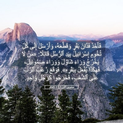 Picture 05 - صَمُوئِيلَ ٱلْأَوَّلُ 11:7 AVD - فَأَخَذَ فَدَّانَ بَقَرٍ - Bible Verse Picture