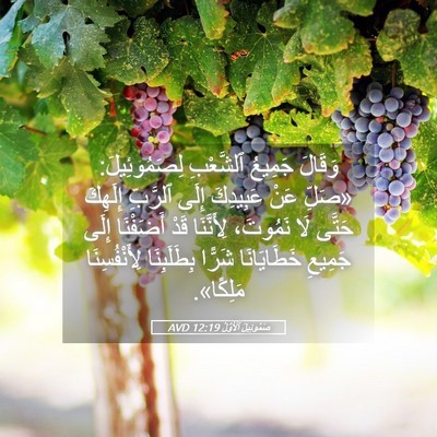 Picture 05 - صَمُوئِيلَ ٱلْأَوَّلُ 12:19 AVD - وَقَالَ جَمِيعُ ٱلشَّعْبِ - Bible Verse Picture