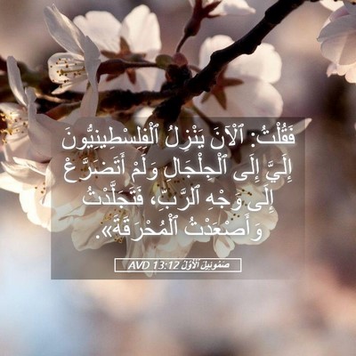 Picture 05 - صَمُوئِيلَ ٱلْأَوَّلُ 13:12 AVD - فَقُلْتُ: ٱلْآنَ يَنْزِلُ - Bible Verse Picture