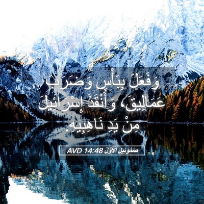 Picture 05 - صَمُوئِيلَ ٱلْأَوَّلُ 14:48 AVD - وَفَعَلَ بِبَأْسٍ - Bible Verse Picture