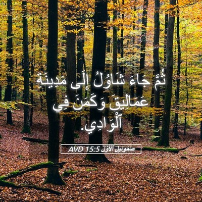 Picture 05 - صَمُوئِيلَ ٱلْأَوَّلُ 15:5 AVD - ثُمَّ جَاءَ شَاوُلُ إِلَى - Bible Verse Picture
