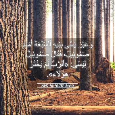 Picture 05 - صَمُوئِيلَ ٱلْأَوَّلُ 16:10 AVD - وَعَبَّرَ يَسَّى بَنِيهِ - Bible Verse Picture