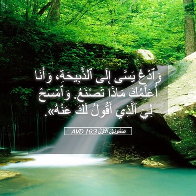 Picture 05 - صَمُوئِيلَ ٱلْأَوَّلُ 16:3 AVD - وَٱدْعُ يَسَّى إِلَى - Bible Verse Picture