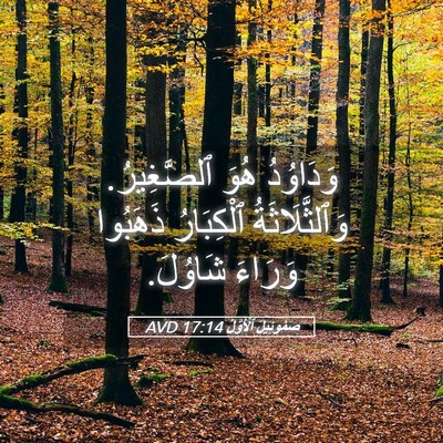 Picture 05 - صَمُوئِيلَ ٱلْأَوَّلُ 17:14 AVD - وَدَاوُدُ هُوَ ٱلصَّغِيرُ. - Bible Verse Picture