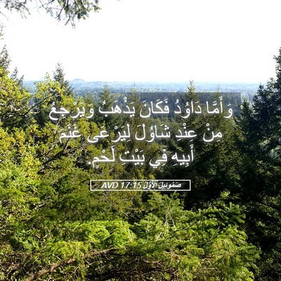 Picture 05 - صَمُوئِيلَ ٱلْأَوَّلُ 17:15 AVD - وَأَمَّا دَاوُدُ فَكَانَ - Bible Verse Picture