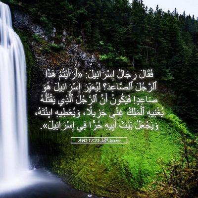 Picture 05 - صَمُوئِيلَ ٱلْأَوَّلُ 17:25 AVD - فَقَالَ رِجَالُ - Bible Verse Picture