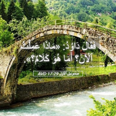 Picture 05 - صَمُوئِيلَ ٱلْأَوَّلُ 17:29 AVD - فَقَالَ دَاوُدُ: «مَاذَا - Bible Verse Picture