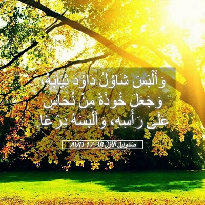 Picture 05 - صَمُوئِيلَ ٱلْأَوَّلُ 17:38 AVD - وَأَلْبَسَ شَاوُلُ - Bible Verse Picture