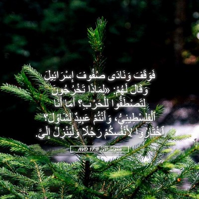Picture 05 - صَمُوئِيلَ ٱلْأَوَّلُ 17:8 AVD - فَوَقَفَ وَنَادَى صُفُوفَ - Bible Verse Picture