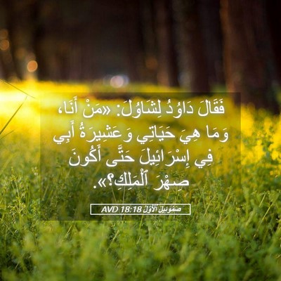 Picture 05 - صَمُوئِيلَ ٱلْأَوَّلُ 18:18 AVD - فَقَالَ دَاوُدُ لِشَاوُلَ: - Bible Verse Picture