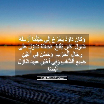 Picture 05 - صَمُوئِيلَ ٱلْأَوَّلُ 18:5 AVD - وَكَانَ دَاوُدُ يَخْرُجُ - Bible Verse Picture