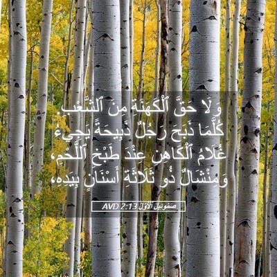 Picture 05 - صَمُوئِيلَ ٱلْأَوَّلُ 2:13 AVD - وَلَا حَقَّ ٱلْكَهَنَةِ - Bible Verse Picture