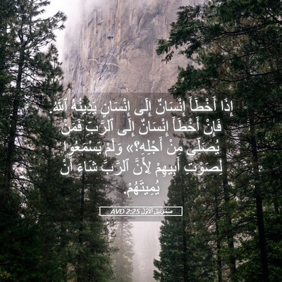 Picture 05 - صَمُوئِيلَ ٱلْأَوَّلُ 2:25 AVD - إِذَا أَخْطَأَ إِنْسَانٌ - Bible Verse Picture