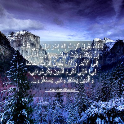 Picture 05 - صَمُوئِيلَ ٱلْأَوَّلُ 2:30 AVD - لِذَلِكَ يَقُولُ ٱلرَّبُّ - Bible Verse Picture