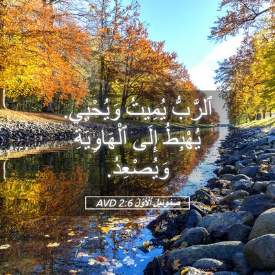 Picture 05 - صَمُوئِيلَ ٱلْأَوَّلُ 2:6 AVD - ٱلرَّبُّ يُمِيتُ - Bible Verse Picture