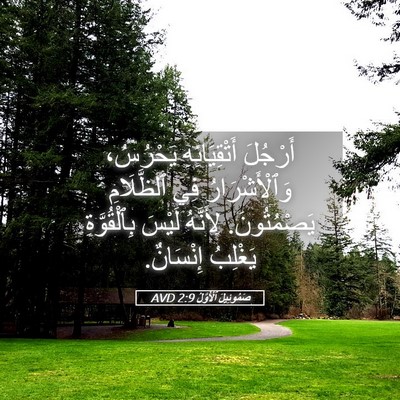 Picture 05 - صَمُوئِيلَ ٱلْأَوَّلُ 2:9 AVD - أَرْجُلَ أَتْقِيَائِهِ - Bible Verse Picture