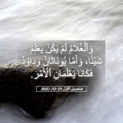 Picture 05 - صَمُوئِيلَ ٱلْأَوَّلُ 20:39 AVD - وَٱلْغُلَامُ لَمْ يَكُنْ - Bible Verse Picture