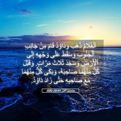 Picture 05 - صَمُوئِيلَ ٱلْأَوَّلُ 20:41 AVD - اَلْغُلَامُ ذَهَبَ - Bible Verse Picture