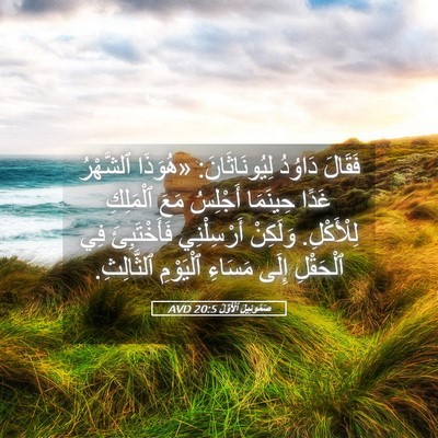 Picture 05 - صَمُوئِيلَ ٱلْأَوَّلُ 20:5 AVD - فَقَالَ دَاوُدُ - Bible Verse Picture