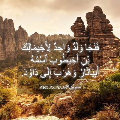 Picture 05 - صَمُوئِيلَ ٱلْأَوَّلُ 22:20 AVD - فَنَجَا وَلَدٌ وَاحِدٌ - Bible Verse Picture