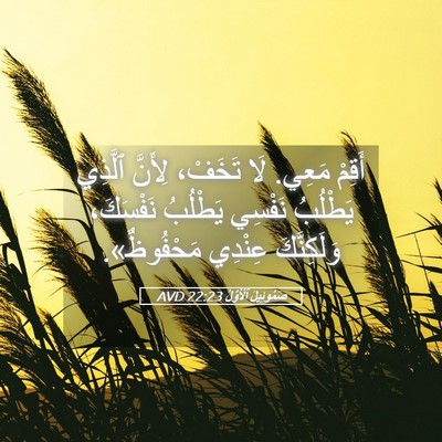 Picture 05 - صَمُوئِيلَ ٱلْأَوَّلُ 22:23 AVD - أَقِمْ مَعِي. لَا تَخَفْ، - Bible Verse Picture