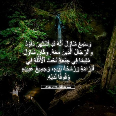Picture 05 - صَمُوئِيلَ ٱلْأَوَّلُ 22:6 AVD - وَسَمِعَ شَاوُلُ أَنَّهُ - Bible Verse Picture