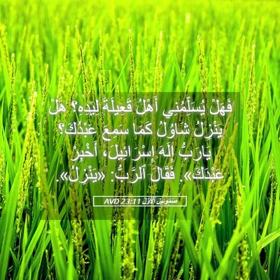 Picture 05 - صَمُوئِيلَ ٱلْأَوَّلُ 23:11 AVD - فَهَلْ يُسَلِّمُنِي - Bible Verse Picture