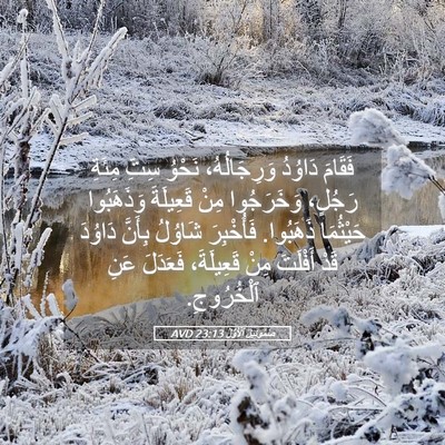 Picture 05 - صَمُوئِيلَ ٱلْأَوَّلُ 23:13 AVD - فَقَامَ دَاوُدُ - Bible Verse Picture