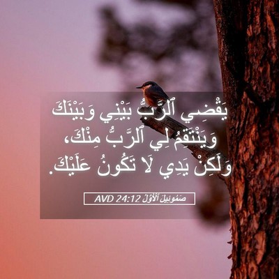 Picture 05 - صَمُوئِيلَ ٱلْأَوَّلُ 24:12 AVD - يَقْضِي ٱلرَّبُّ بَيْنِي - Bible Verse Picture