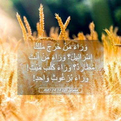 Picture 05 - صَمُوئِيلَ ٱلْأَوَّلُ 24:14 AVD - وَرَاءَ مَنْ خَرَجَ مَلِكُ - Bible Verse Picture
