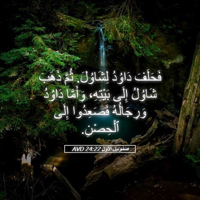 Picture 05 - صَمُوئِيلَ ٱلْأَوَّلُ 24:22 AVD - فَحَلَفَ دَاوُدُ - Bible Verse Picture
