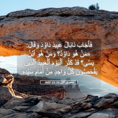 Picture 05 - صَمُوئِيلَ ٱلْأَوَّلُ 25:10 AVD - فَأَجَابَ نَابَالُ - Bible Verse Picture