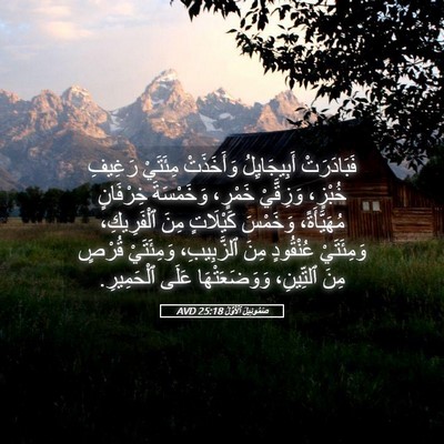 Picture 05 - صَمُوئِيلَ ٱلْأَوَّلُ 25:18 AVD - فَبَادَرَتْ أَبِيجَايِلُ - Bible Verse Picture
