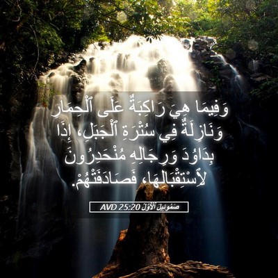 Picture 05 - صَمُوئِيلَ ٱلْأَوَّلُ 25:20 AVD - وَفِيمَا هِيَ رَاكِبَةٌ - Bible Verse Picture