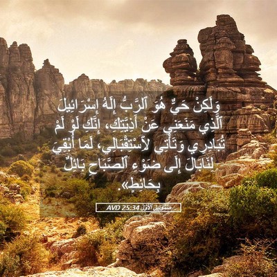 Picture 05 - صَمُوئِيلَ ٱلْأَوَّلُ 25:34 AVD - وَلَكِنْ حَيٌّ هُوَ - Bible Verse Picture