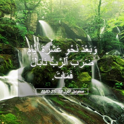 Picture 05 - صَمُوئِيلَ ٱلْأَوَّلُ 25:38 AVD - وَبَعْدَ نَحْوِ عَشْرَةَ - Bible Verse Picture