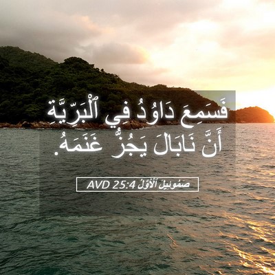 Picture 05 - صَمُوئِيلَ ٱلْأَوَّلُ 25:4 AVD - فَسَمِعَ دَاوُدُ فِي - Bible Verse Picture