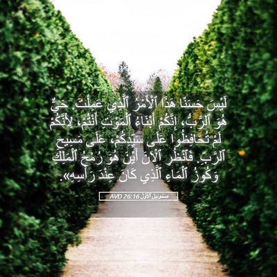 Picture 05 - صَمُوئِيلَ ٱلْأَوَّلُ 26:16 AVD - لَيْسَ حَسَنًا هَذَا - Bible Verse Picture