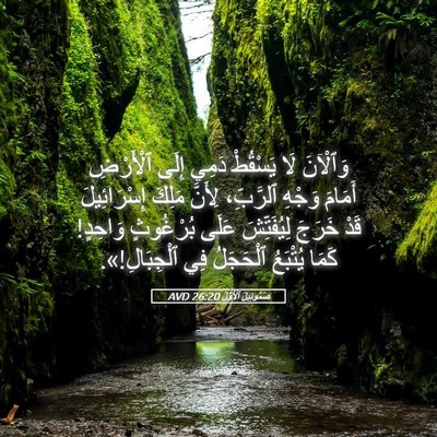 Picture 05 - صَمُوئِيلَ ٱلْأَوَّلُ 26:20 AVD - وَٱلْآنَ لَا يَسْقُطْ - Bible Verse Picture