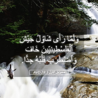 Picture 05 - صَمُوئِيلَ ٱلْأَوَّلُ 28:5 AVD - وَلَمَّا رَأَى شَاوُلُ - Bible Verse Picture