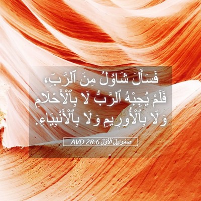 Picture 05 - صَمُوئِيلَ ٱلْأَوَّلُ 28:6 AVD - فَسَأَلَ شَاوُلُ مِنَ - Bible Verse Picture