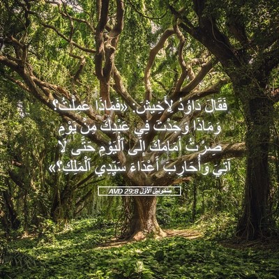 Picture 05 - صَمُوئِيلَ ٱلْأَوَّلُ 29:8 AVD - فَقَالَ دَاوُدُ لِأَخِيشَ: - Bible Verse Picture