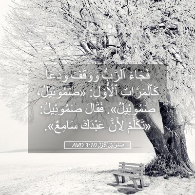 Picture 05 - صَمُوئِيلَ ٱلْأَوَّلُ 3:10 AVD - فَجَاءَ ٱلرَّبُّ وَوَقَفَ - Bible Verse Picture