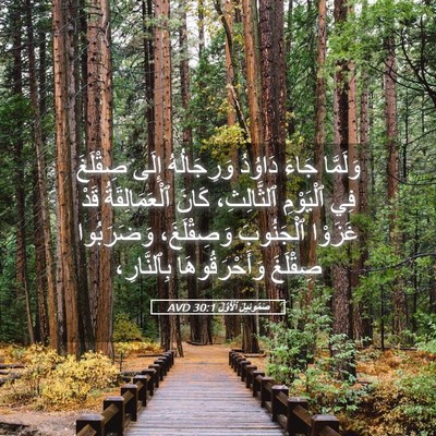 Picture 05 - صَمُوئِيلَ ٱلْأَوَّلُ 30:1 AVD - وَلَمَّا جَاءَ دَاوُدُ - Bible Verse Picture