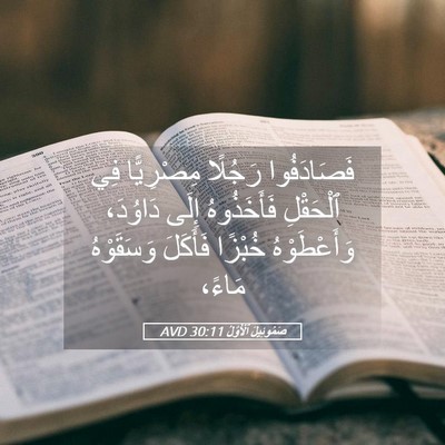Picture 05 - صَمُوئِيلَ ٱلْأَوَّلُ 30:11 AVD - فَصَادَفُوا رَجُلًا - Bible Verse Picture
