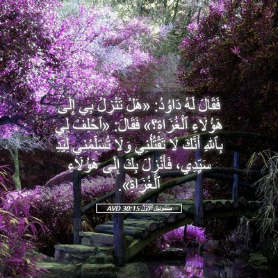Picture 05 - صَمُوئِيلَ ٱلْأَوَّلُ 30:15 AVD - فَقَالَ لَهُ دَاوُدُ: - Bible Verse Picture