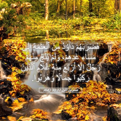Picture 05 - صَمُوئِيلَ ٱلْأَوَّلُ 30:17 AVD - فَضَرَبَهُمْ دَاوُدُ مِنَ - Bible Verse Picture
