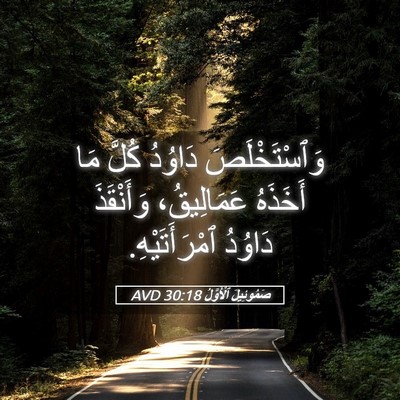 Picture 05 - صَمُوئِيلَ ٱلْأَوَّلُ 30:18 AVD - وَٱسْتَخْلَصَ دَاوُدُ - Bible Verse Picture