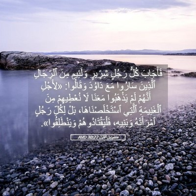 Picture 05 - صَمُوئِيلَ ٱلْأَوَّلُ 30:22 AVD - فَأَجَابَ كُلُّ رَجُلٍ - Bible Verse Picture